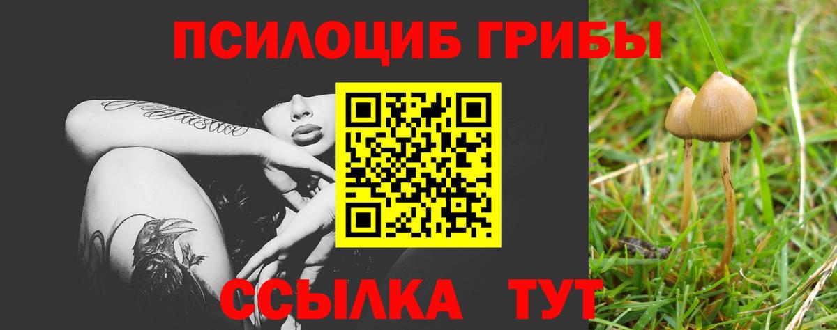 Белово  Псилоцибиновые грибы мицелий  Вход с VPN  Псилоцибиновые грибы мицелий 